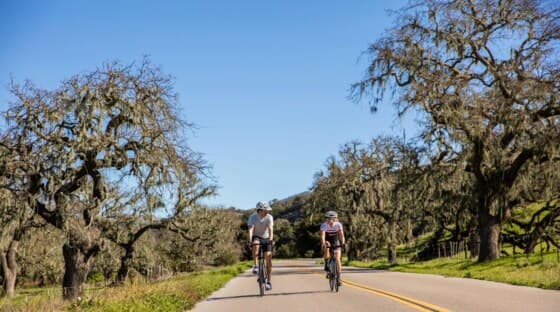 Two riders on a tree-lined road during a Solvang tour