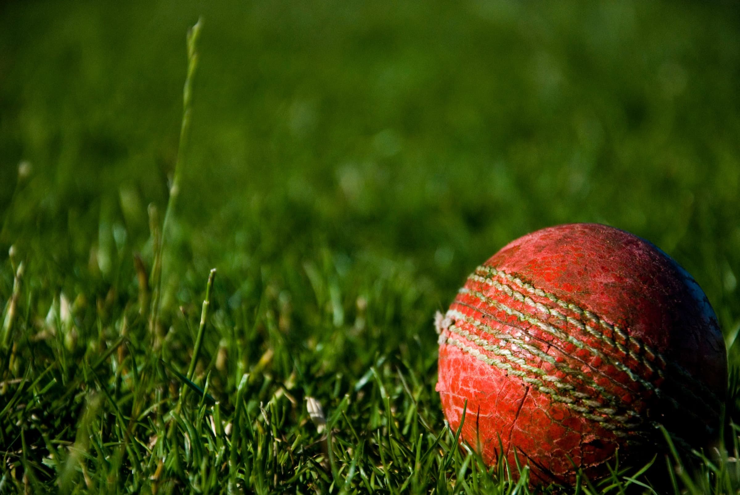Cricket ball on grass — Para Hills Cricket Club